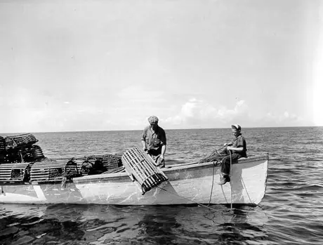 Lobster fishing