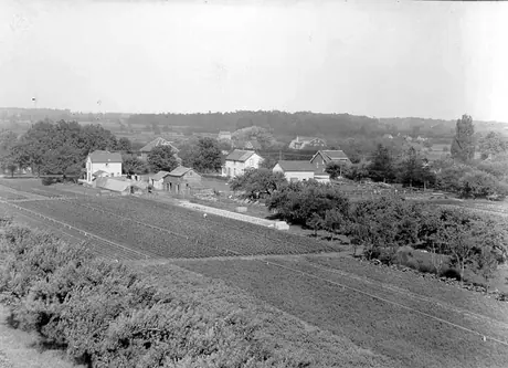 Scenic view of Burlington market gardens