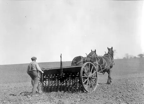 Farmer sowing seeds with a horse drawn seeder