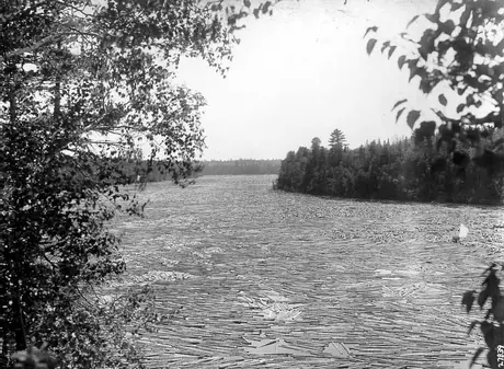 30 million feet of logs on the Miramichi River