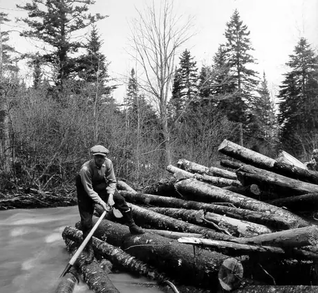 Gathering logs on the Charlo River