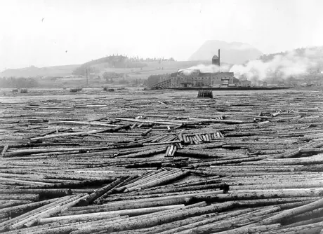 Campbellton lumber mill