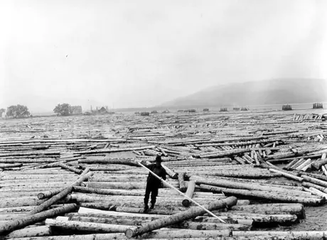 Log boom, Campbellton, New Brunswick