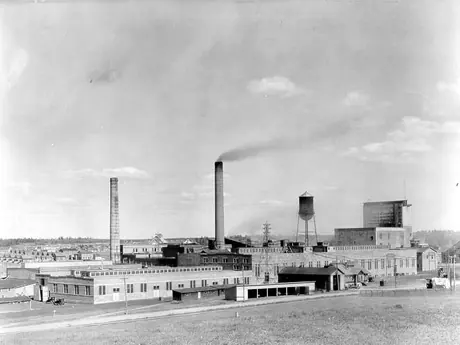 Pulp mill at Bathurst, New Brunswick