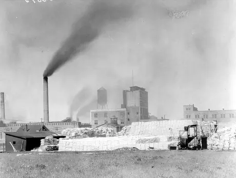 Bathurst Pulp Plant