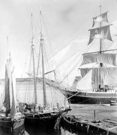 Docked schooner