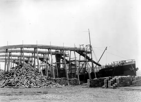 Shipping pulp logs, Chatham, New Brunswick
