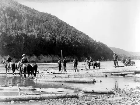 Sorting boom, Matapedia Valley