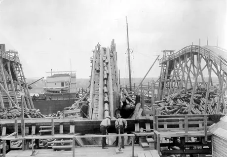 Morrison Cove Lumber Mill, Mirimichi, New Brunswick