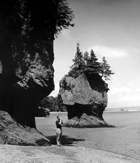 Watching the tide at Hopewell Rocks, New Brunswick