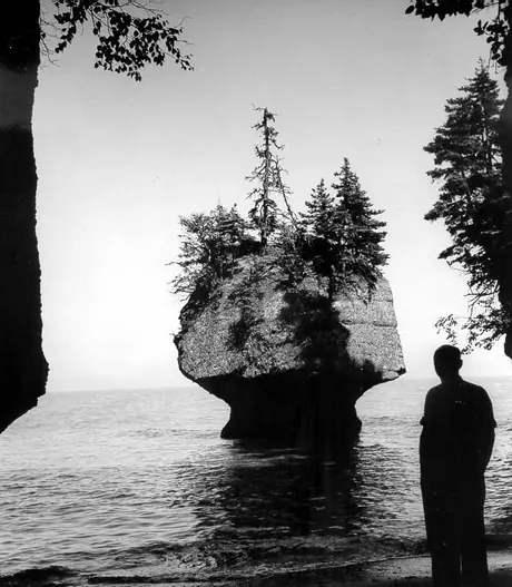 Unique rock formations at Hopewell Rocks