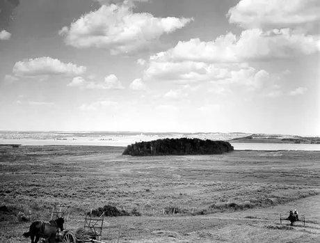 Harvesting hay, near Fundy National Park