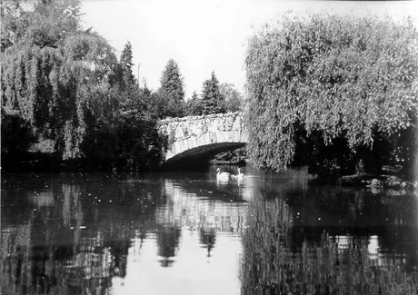 Pond within Beacon Hill Park