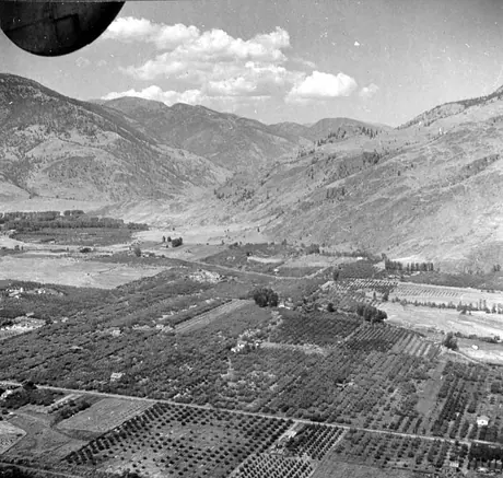 Aerial view of a sample of the orchards in the Okanagan Valley