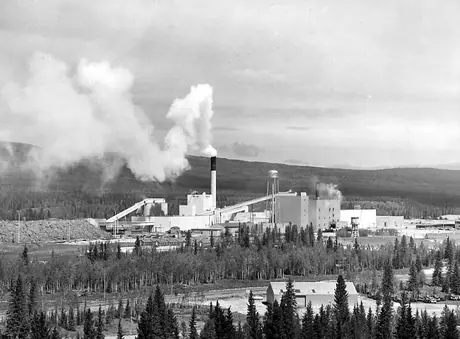 Overview of the Northwest pulp and paper plant