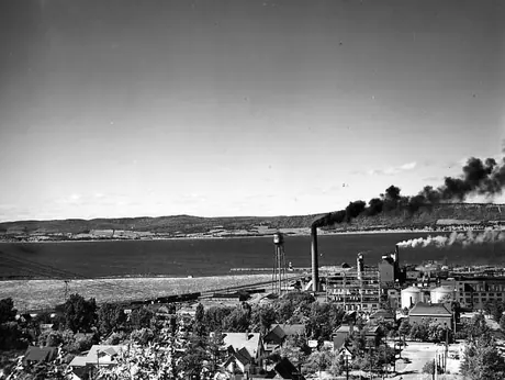 View of logs belonging to the International Paper Co. plant