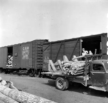 Unloading logs from CNR box cars for transfer to ships