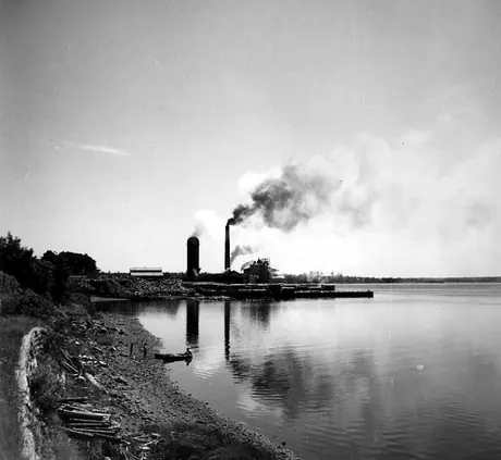O'Brien's Lumber Mill, near Newcastle, New 
Brunswick
