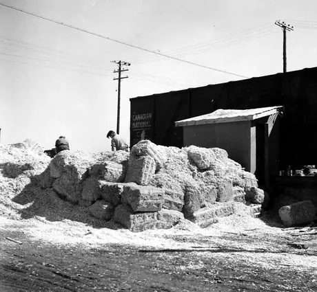 Wood chips for the process of making wallboard, O'Brien's Lumber Mill