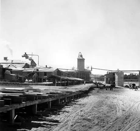 View of processed lumber, O'Brien Lumber Mill