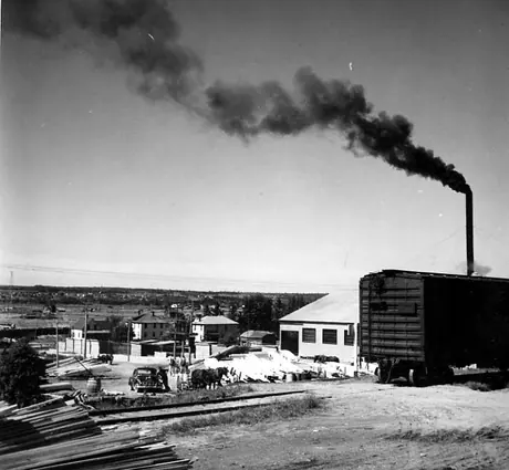 Lumber yard, near Newcastle, New Brunswick