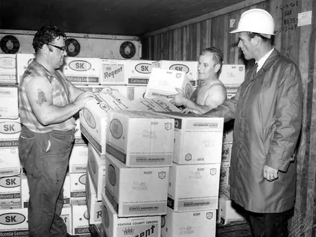 Shipment of California lemons at the port of Saint John