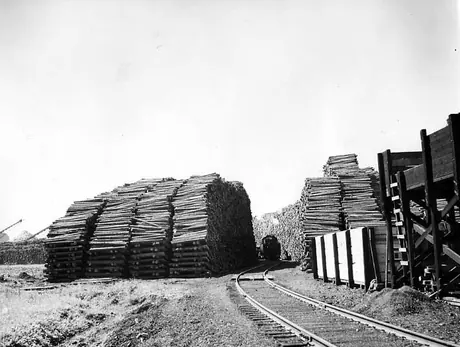Engine surrounded by log piles, Great Lakes Pulp and Paper Company