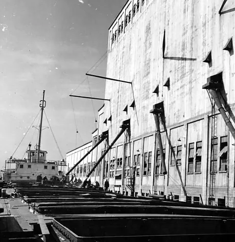Grain being loaded into different compartments of a cargo ship