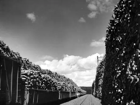 Measuring the log content of the loaded flat cars, Great Lakes Pulp and Paper Company