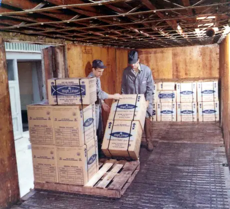 Refrigerated CN cars being loaded with fresh fish