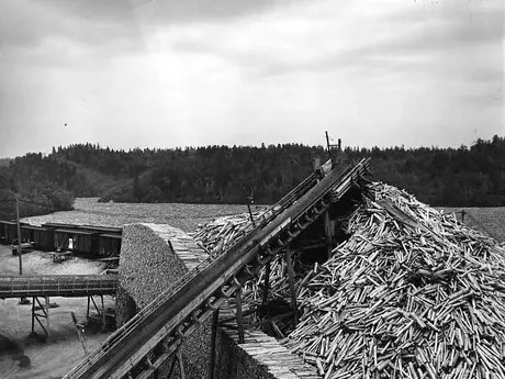 Processing logs. Price Brothers Co. plant