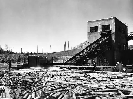 Sorting logs, St. Lawrence Corp. Ltd. pulp and paper mill