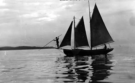 Sword fishing off St. Margaret's Bay