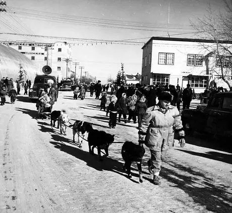 Dog team taxi - for anywhere in town for 50 cents - during The Pas Winter Festival
