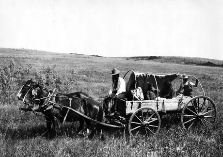 Man seated on a two horse covered wagon, with four children aboard.
Oroginal caption: