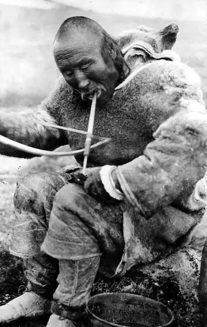 Inuk seated at work using a bow drill.
Original caption: