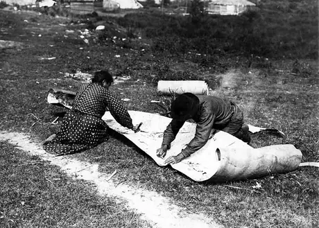 Ojibwa couple scraping large sheets of birch bark