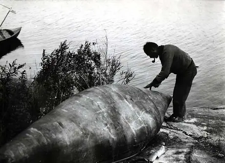 Ojibwa man repairing an upturned birch bark canoe on the shore of Rainy Lake
