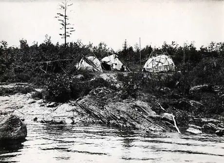 Ojibwa and dog at three dome-shaped birch bark wigwams along lake shore