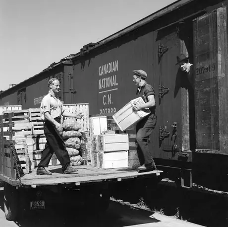 Loading a shipment of fruit on a motor truck from refrigerator truck