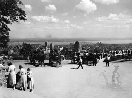 Horses and carriages for tourists overlooking Montreal