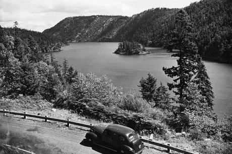 Driving along the Saanich Arm, Vancouver Island