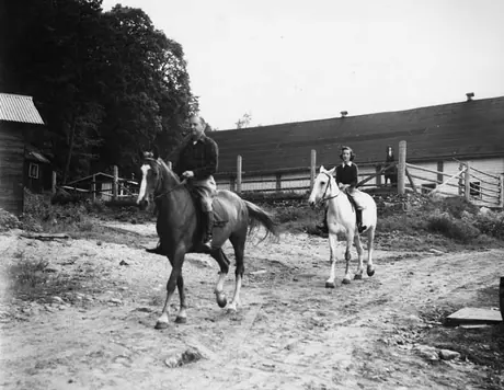 Horseback riding at Limberlost Lodge