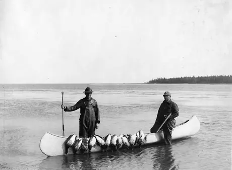 Hunters posing with their catch of Brant ducks