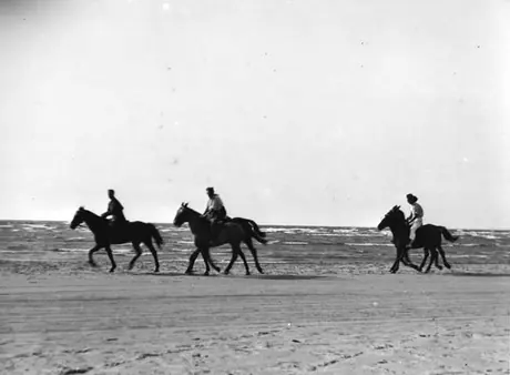 Horseback riding, Blue Water Highway
