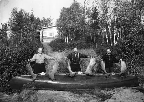 Hunters posing with three sets of moose antlers at Ten Mile Lake
