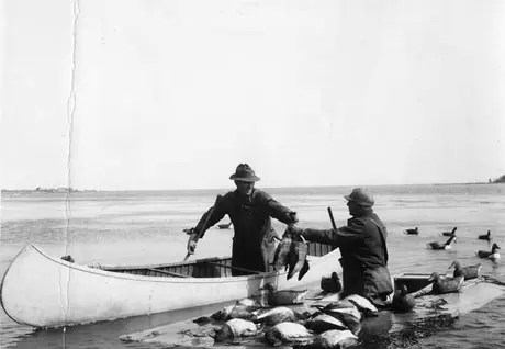 Duck hunting at Wishart Point, Miramichi Bay