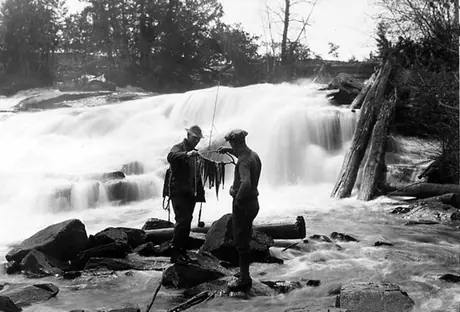 Fishing Carcajur Creek, Algonquin Park