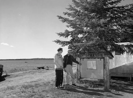 Examining the fishing information