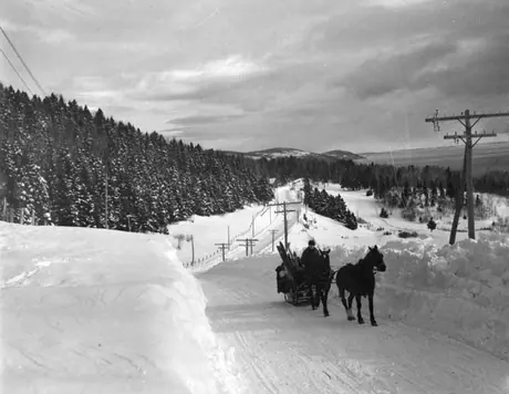 Skiers taking a sleigh ride to Pine Lodge, Pointe-au-Pic